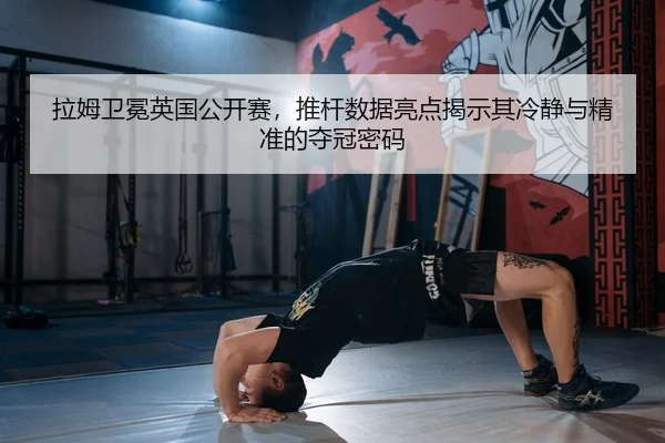 la-mu-wei-mian-ying-guo-gong-kai-sai-tui-gan-shu-ju-liang-dian-jie-shi-qi-leng-jing-yu-jing-zhun-de-duo-guan-mi-ma-2-481.jpg